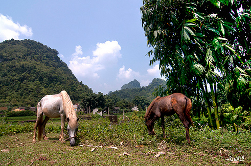 Về miền đất Cao Bằng thân thương